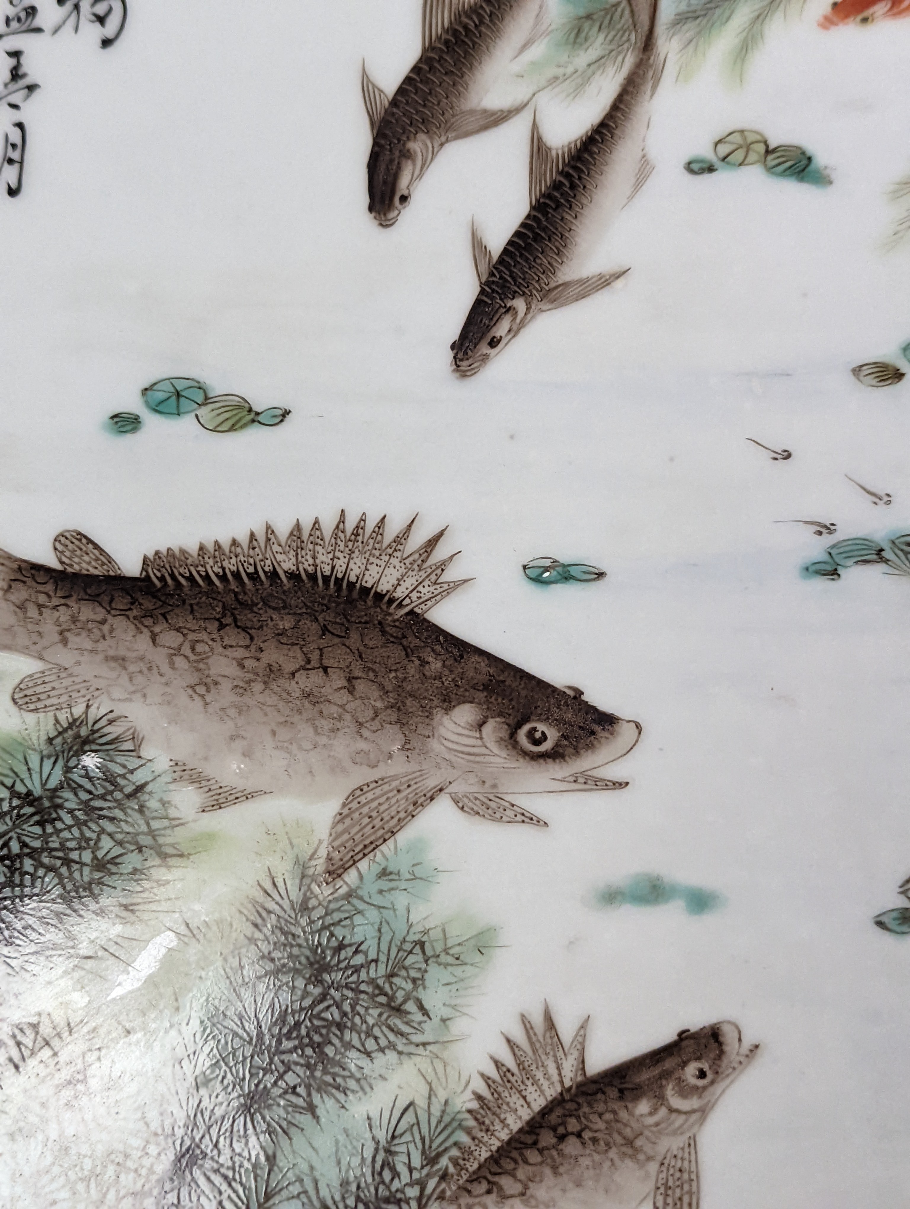 A Chinese famille rose porcelain rectangular plaque, Republic period (1912-49), painted with fish in a pond amid weed and inscribed upper left 36.5x25.5cm